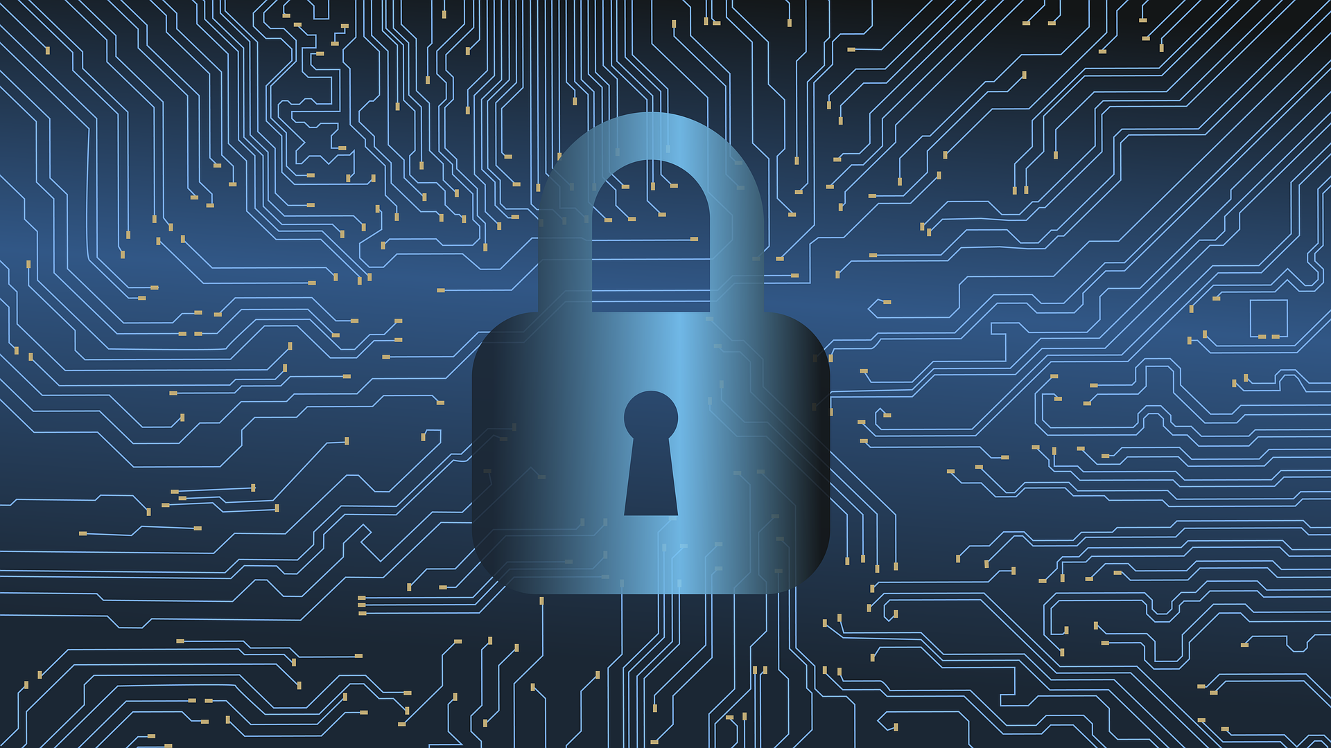 Ciberseguridad: Cómo proteger tu información en línea